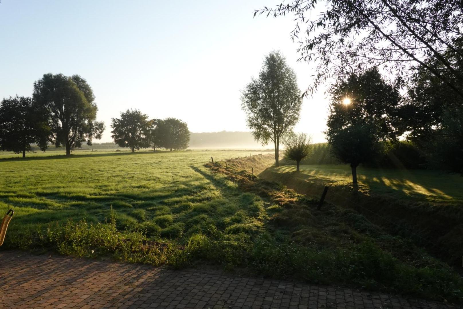 De Knotwilg Villa Loon op Zand Eksteriør billede